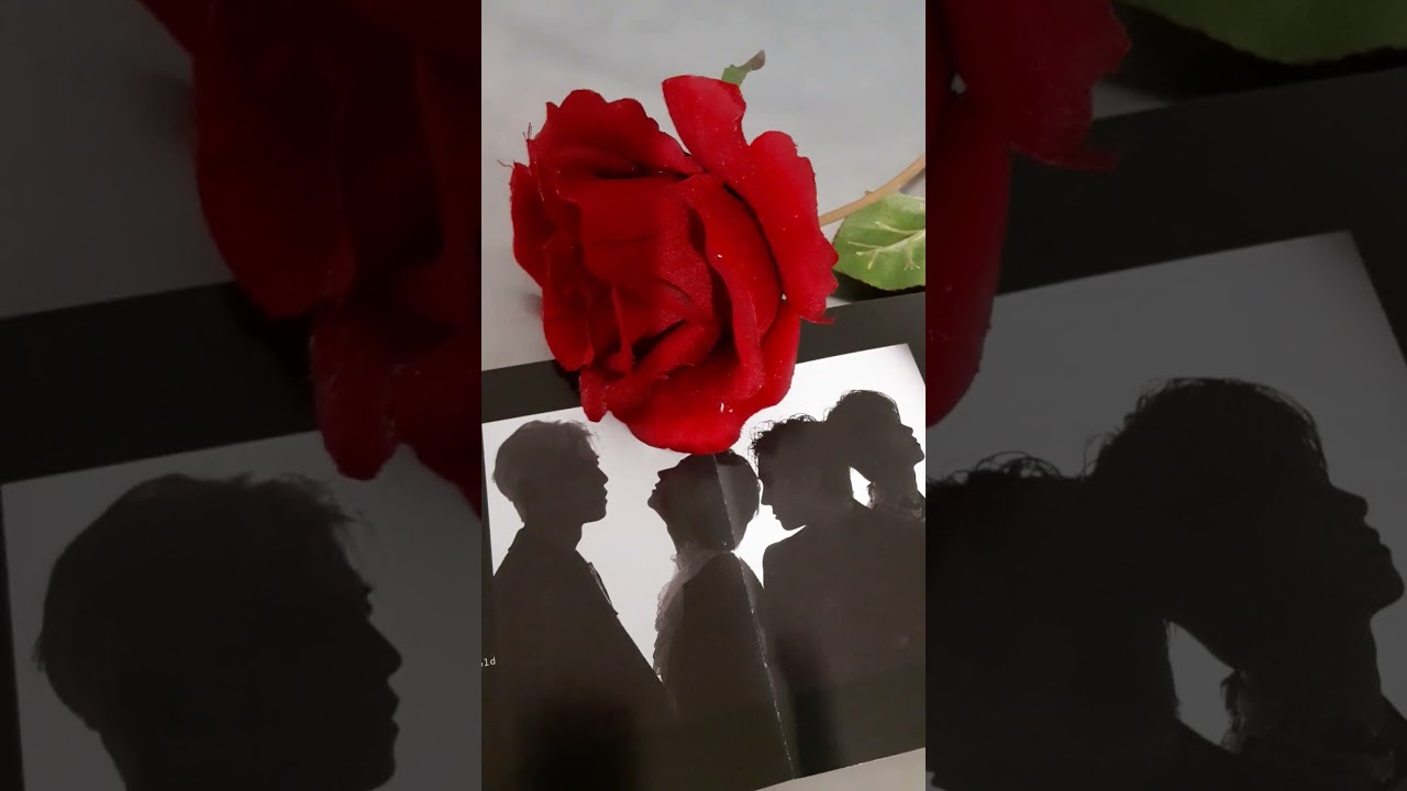 the rose dusk till dawn #album #lifeline #woosung #dojoon #hajoon #taegyeom #dusktilldawn #therose