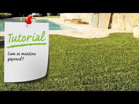 download lagu mp3 mp4 Intretinere Gazon, download lagu Intretinere Gazon gratis, unduh video klip Intretinere Gazon