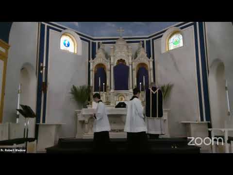 Private TLM: Dominica II Passionis Seu in Palmis