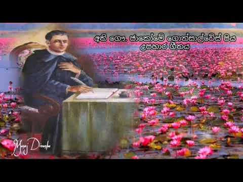 ගයලා වයලා Gayala Wayala - Pabasara Kannagara & Shivantha Fernando (Fr. Jacome Gonsalves Song)
