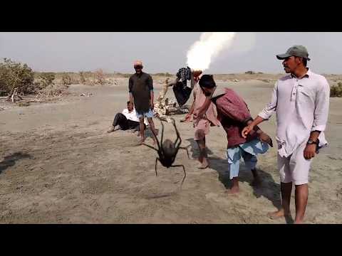 Funter Fishermen at Adhiyari Beach | Ibrahim Hyderi