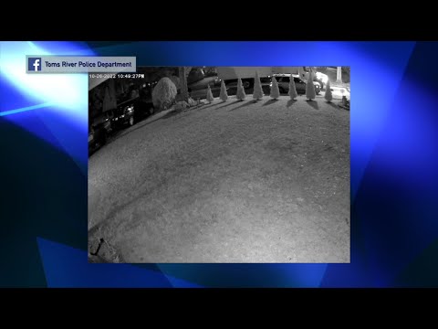 NJ Toms River 2 Suspects From Minnesota Face Catalytic Converter Theft Charges