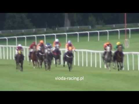 Gon. II - 22.06.2013 - Zlatan (Ganges - Zachcianka)