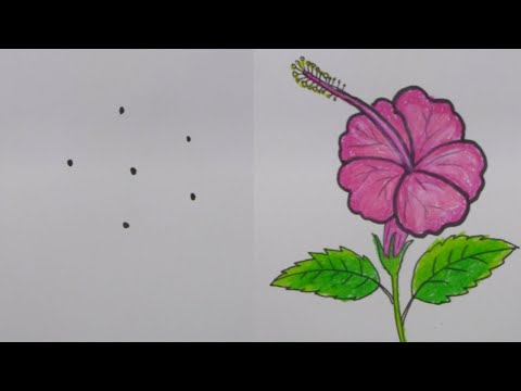 How to Draw Hibiscus Flower  easy