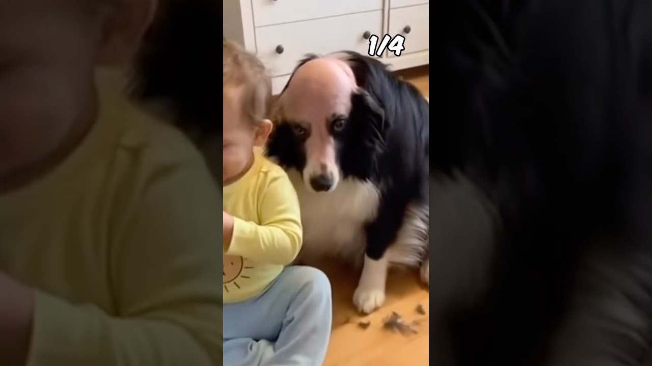 Which number do you like??😊Comedy Remix