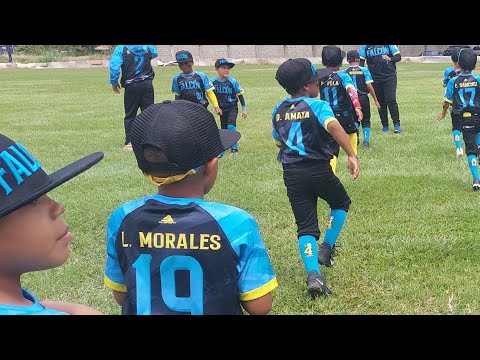 Falcón Vs Sucre