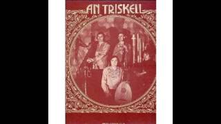 an triskell (vinyl) complet