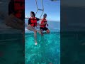 19 Glass bottom boat adventure
