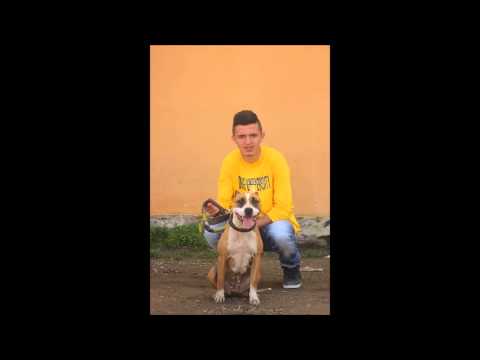 LoniHard ft MCT & ArboSonik   Pasojat Jon ka vin (2014)