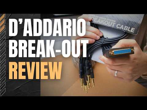 D'Addario PW-TRSB-01 Modular Snake System TRS Breakout - 2' image 3
