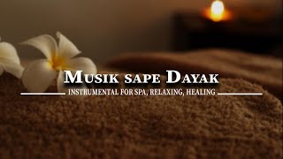 Download lagu INSTRUMENT MUSIK SAPE DAYAK - MUSIC FOR SPA, RELAXING, HEALING, SLEEP mp3