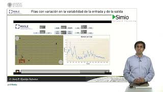 Efecto de la variabilidad en el tamaño de cola