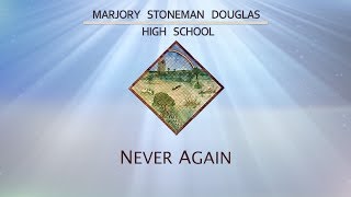 Never Again - Original Lyric Video