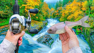 Hunting TRANSITIONING Bass On The River (Best Baits)