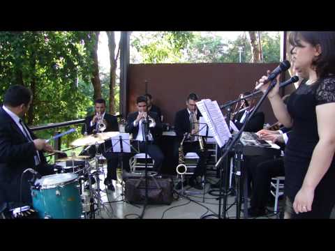 Absoluto Coral - Completo