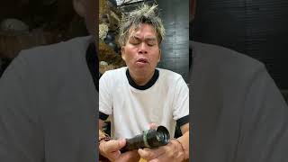 Download lagu Gagal fokus #shorts #gagalfokus #fyp #story mp3