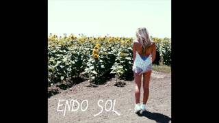 Endo Sol - Burn it to the Dirt