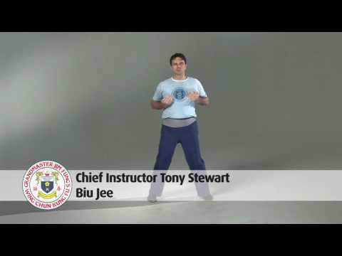 Wing Chun's Biu Jee Form (HD)