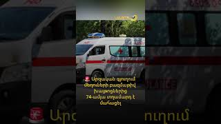 Ողբերգական դեպք՝ Արզական գյուղում. մեղուների բազմաթիվ խայթոցներից 74-ամյա տղամարդ է մահացել