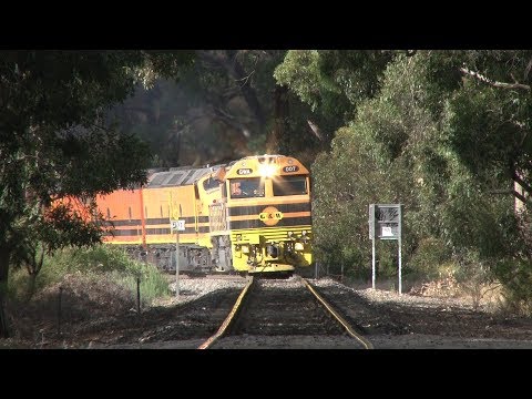 LDP005 & VL360 on SCT Freight: Adelaide Hills Rail Movements
