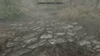 Just A Casual Thing In Skyrim