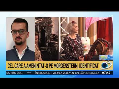 Polițiștii au identificat doi tineri care ar avea legătură cu amenințările asupra Maiei Morgen