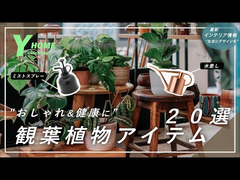 Kガーデン2022春夏