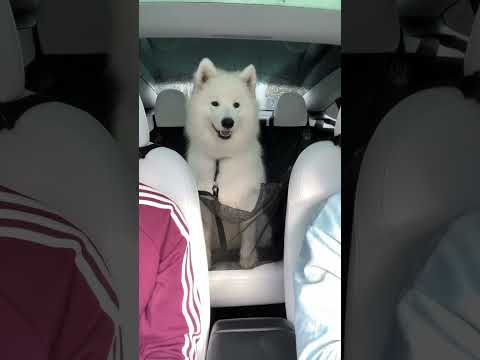 Paco ziet haar moeder na 2,5 jaar!