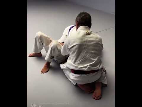 Rare Rickson Gracie instructing side control escape