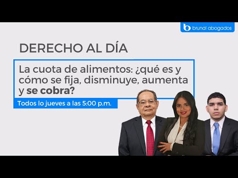 Video sobre cuota de alimentos