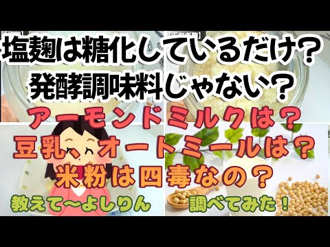 【四毒抜き 発酵調味料】塩麹は発酵食品?| アーモンドミルクは四毒?|豆乳は四毒?|腸活・ 発酵調味料|万能麹調味料|万能発酵調味料|ソイリッチ|レコルト|完全豆乳メーカー | 塩麹|玉ねぎ麹