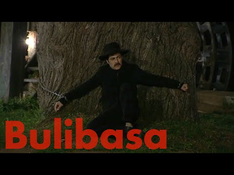 Bulibasa in Chains--- Viziru in the series REGINA