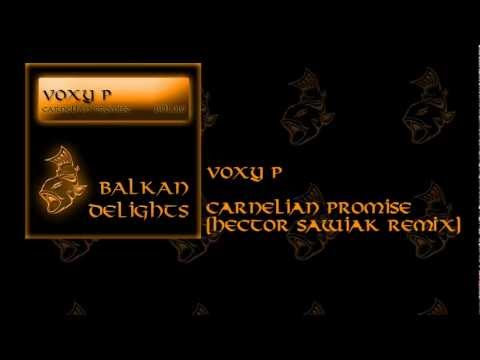 BDL010 Voxy P - Carnelian Promise  (Hector Sawiak Remix)