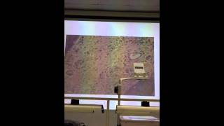 Patologi Anatomi by Prof Janti