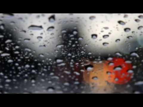 Information Ghetto - Tron