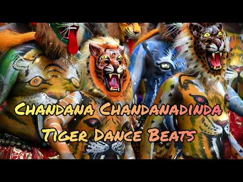 Chandana Chandanadinda (ಚಂದನ ಚಂದನದಿಂದ) | Tiger dance beats | Thase (ತಾಸೆ) @goldenrecords493