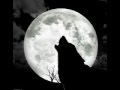 Wolfslied 