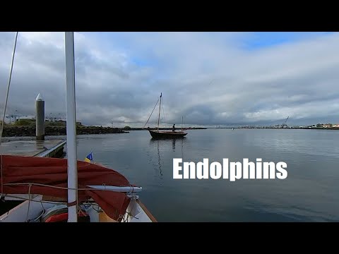 Endolphins
