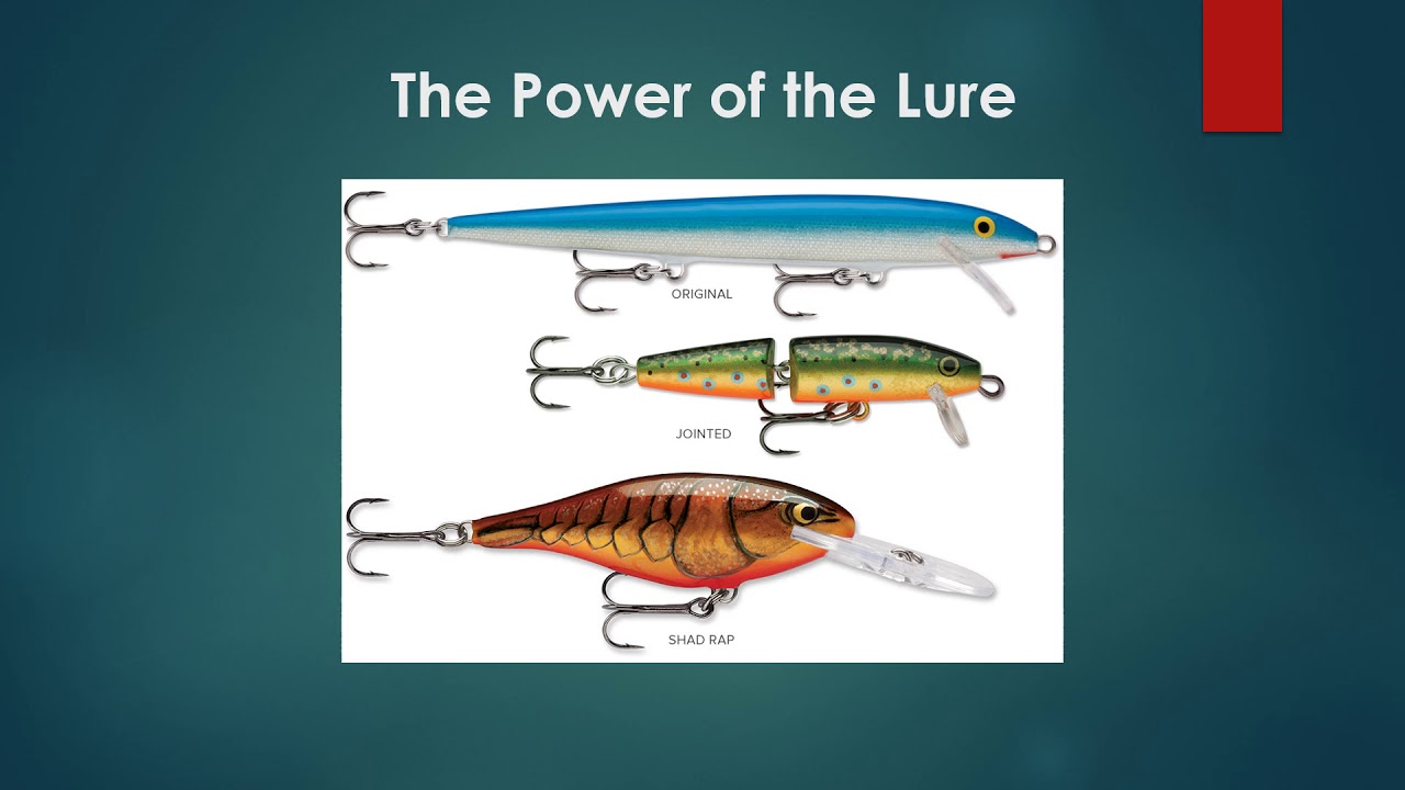 Pierre Gilbert. Ph.D. Wisdom Literature. Lecture 2: The Book of Proverbs.