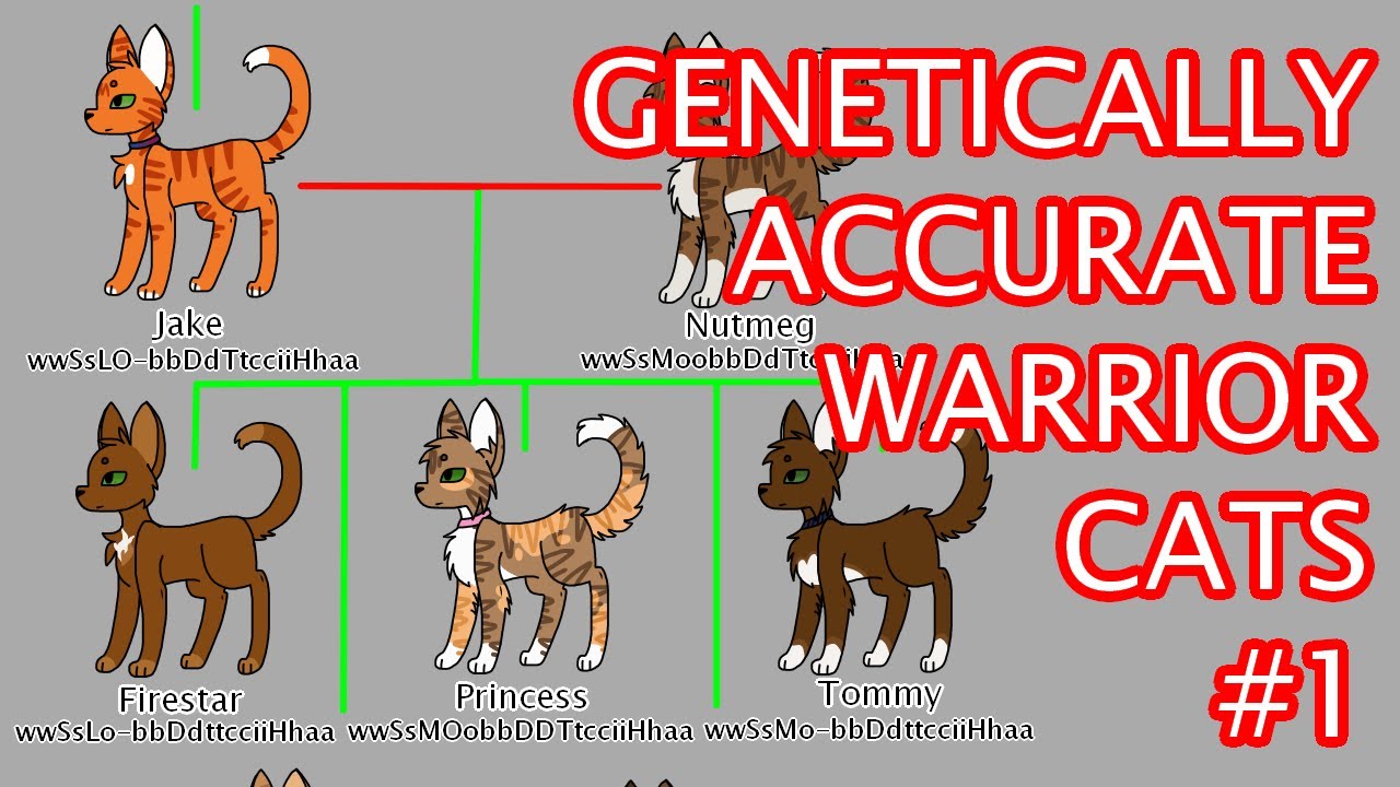 Genetically Accurate Warrior Cats #1 - Firestar's Family