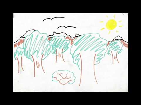 Urban habitat restoration provides a human health benefit through microbiome rewilding