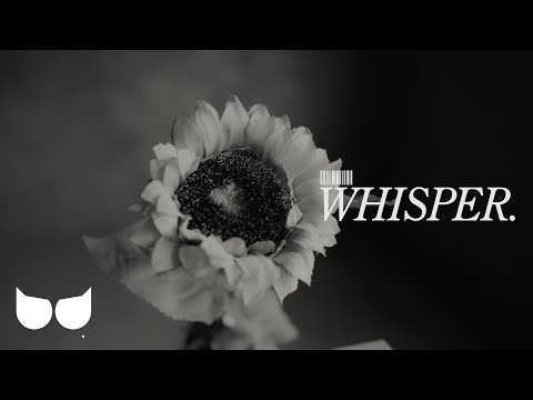 Rafor - WHISPER. (Official Music Video)