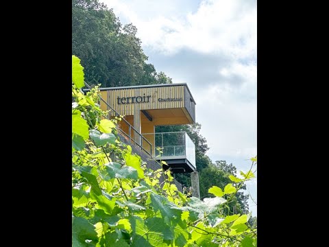 Rotweinwanderweg bei Erlenbach in Franken