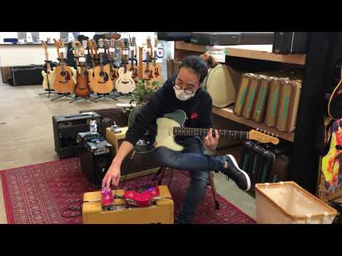 SHIGEMORI Stone Drive Custom Ver3 | Reverb
