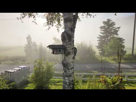 Fjelldal (Project Drone 2)