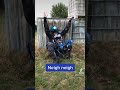 Maybe This Should Happen More On The Field Fyp Paintball Dance Funny