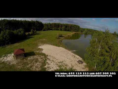 Złote Stawy Śladków Mały Agroturystyka Wędkowanie