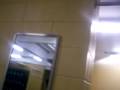 Pineland S Restroom