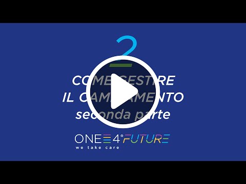 Flavio Cabrini, General Manager di ONE4, parla di come affrontare la terza e la quarta fase del cambiamento: desolazione o accettazione e analisi.