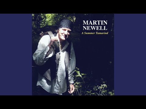 Another Sunny Day - Martin Newell